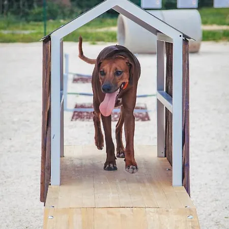 Homes Mon Perin Holiday park Bale