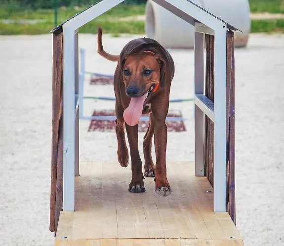 Homes Mon Perin Resort Bale